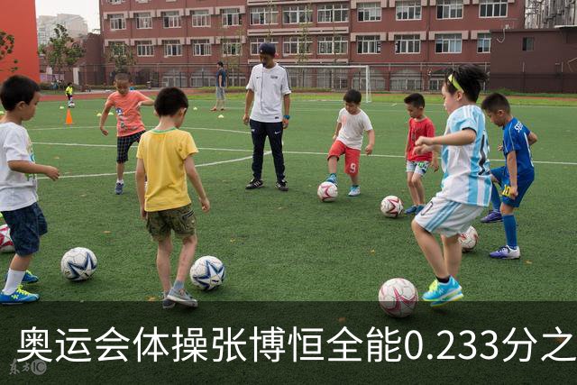 奥运会体操张博恒全能0.233分之差摘银 日本夺金