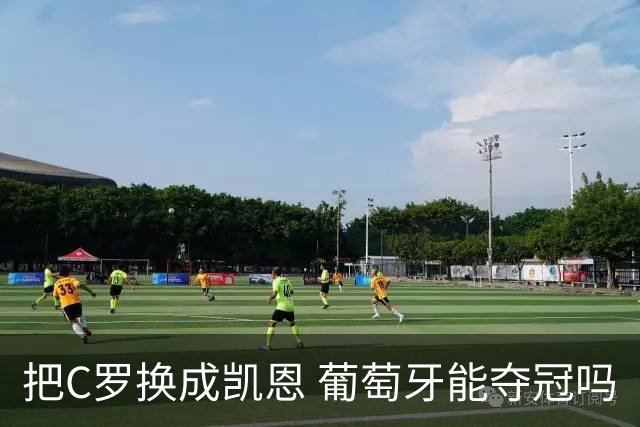 把C罗换成凯恩 葡萄牙能夺冠吗
